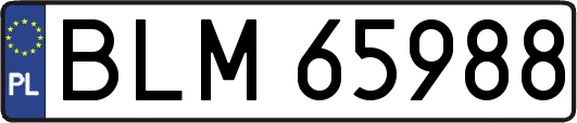 BLM65988