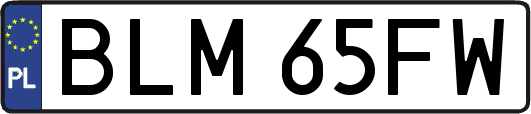 BLM65FW