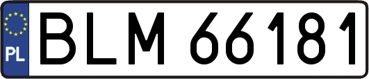 BLM66181