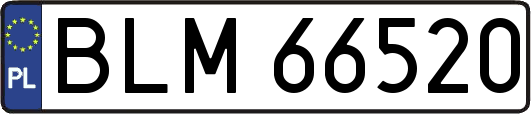 BLM66520