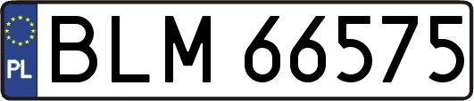 BLM66575