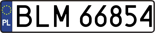 BLM66854