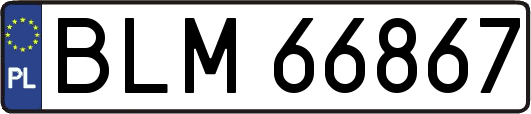 BLM66867