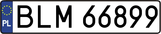 BLM66899