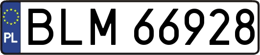 BLM66928