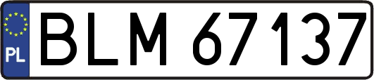 BLM67137