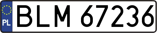 BLM67236