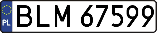 BLM67599