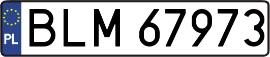 BLM67973