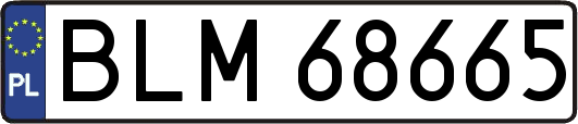 BLM68665
