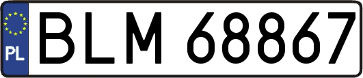 BLM68867