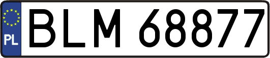 BLM68877