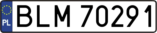 BLM70291