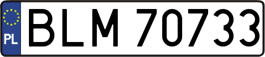 BLM70733