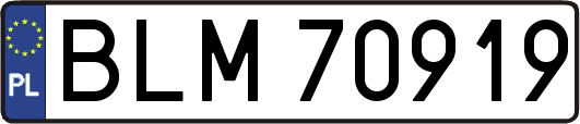 BLM70919