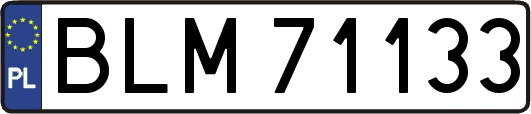BLM71133
