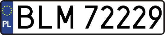 BLM72229