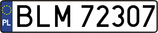 BLM72307
