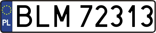 BLM72313