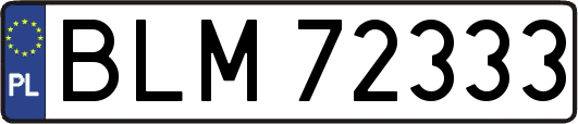 BLM72333