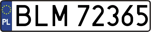 BLM72365