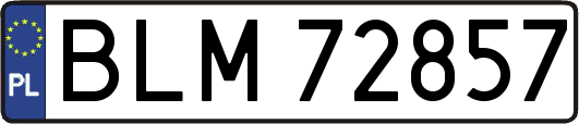 BLM72857