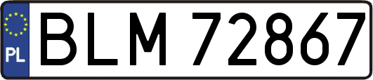 BLM72867
