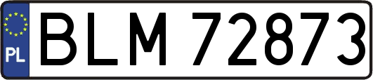 BLM72873