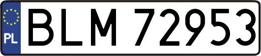 BLM72953