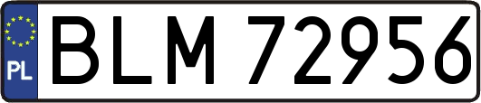 BLM72956