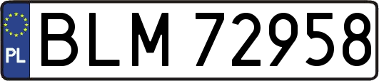 BLM72958