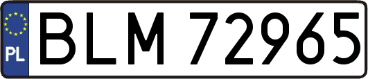 BLM72965