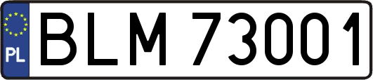 BLM73001