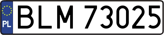 BLM73025