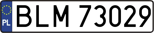 BLM73029