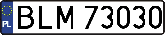 BLM73030