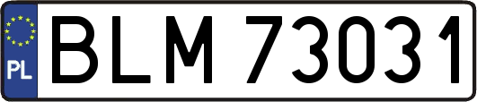 BLM73031