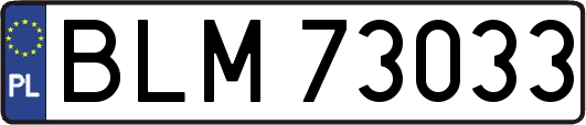BLM73033