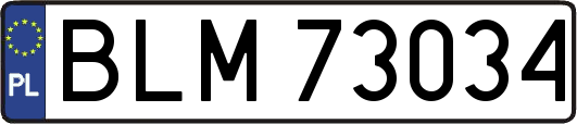 BLM73034