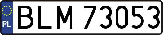 BLM73053