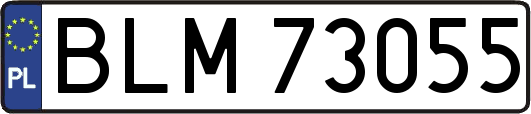 BLM73055