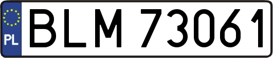 BLM73061