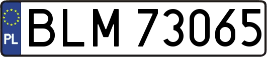 BLM73065