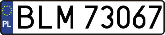 BLM73067