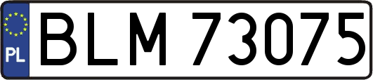 BLM73075