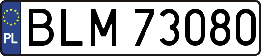 BLM73080