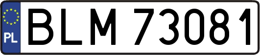BLM73081
