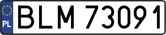 BLM73091