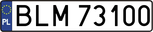 BLM73100