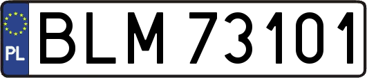 BLM73101